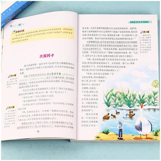 尼尔斯骑鹅旅行记 彩图升级版 商品图1