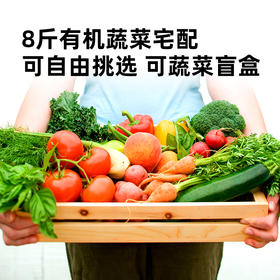 有机蔬菜礼盒8斤（山东省内）
