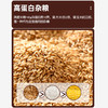 燕麦米新米2022生燕麦米农家罐装1000g燕麦粥原料杂粮粗粮代餐 商品缩略图1