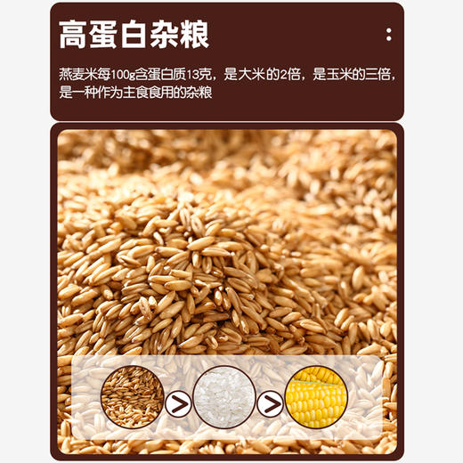燕麦米新米2022生燕麦米农家罐装1000g燕麦粥原料杂粮粗粮代餐 商品图1