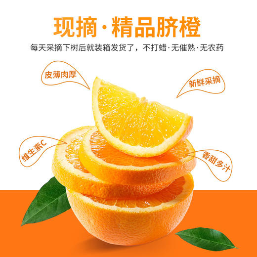 君橙故事70mm果 5斤 商品图4