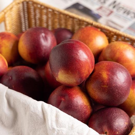 澳洲 黄金蜜油桃 商品图3