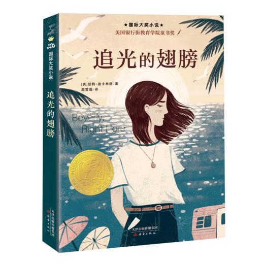 国际大奖小说--追光的翅膀 商品图0