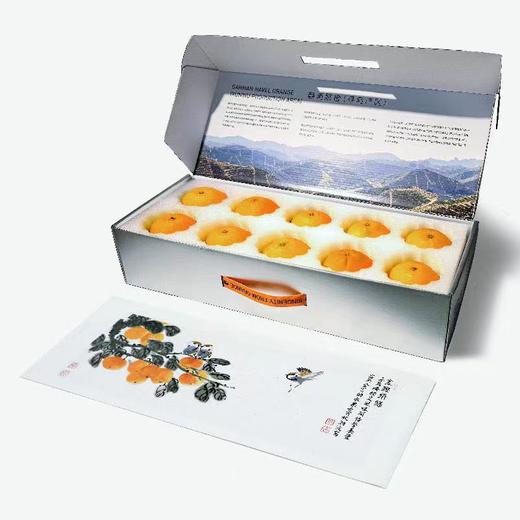 “橙香橙意”寻乌脐橙“艺术橙”文创礼盒+发起人陈湘波老师国画作品《金橙送福》高清复刻版画——深圳市关爱行动公益基金会，陈湘波艺术公益基金联合消费帮扶共创，全“橙”行动，助力乡村 | 一艺之间 优品推荐 商品图1
