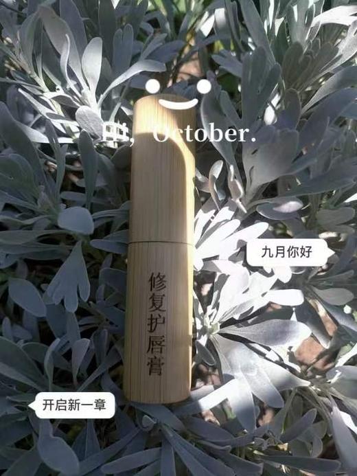 【滋润保湿 舒缓修护】莹润水漾桂花紫草护修复护唇膏3.8g 商品图1