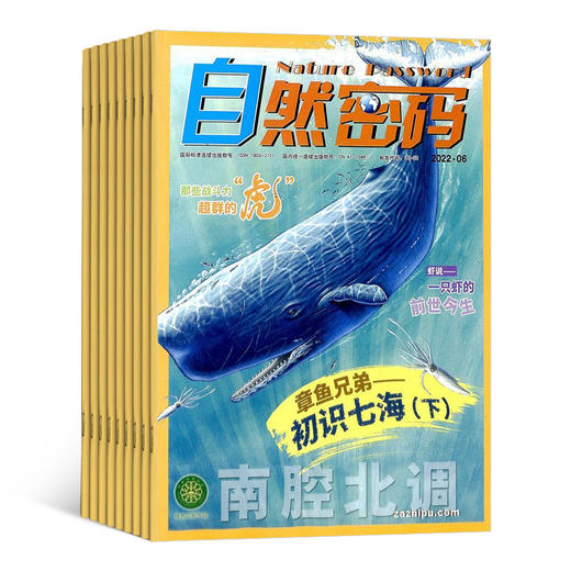 探索与发现+自然密码组合杂志 2025年1月起订 1年共12期   8-18岁少儿科普阅读期刊 商品图2