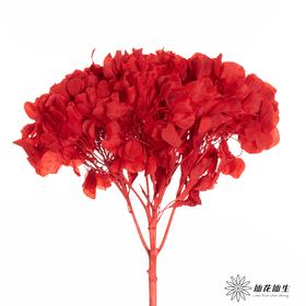 永生绣球 | 鸿运当头