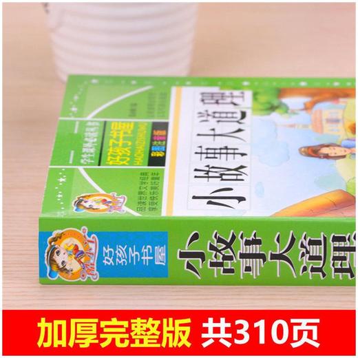 小故事大道理 彩图注音版 商品图2