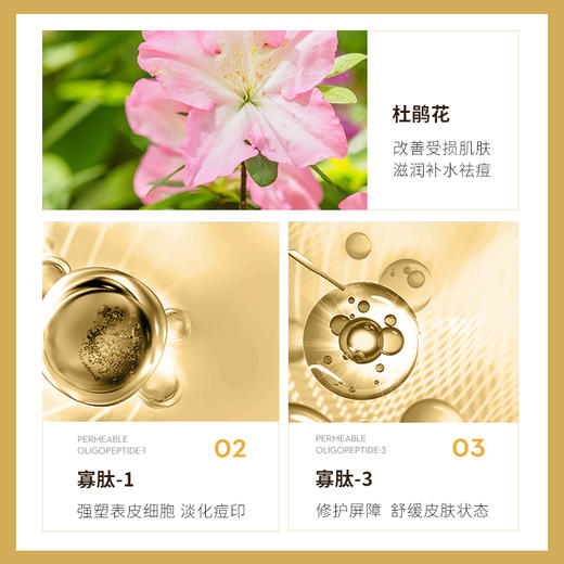 【雪元玑秘】寡肽多肽冻干粉套盒（杜鹃花） 商品图4
