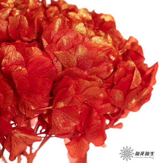 永生绣球 | 金玉满堂 商品图2