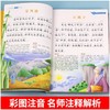 宋词三百首 彩图注音版 商品缩略图3