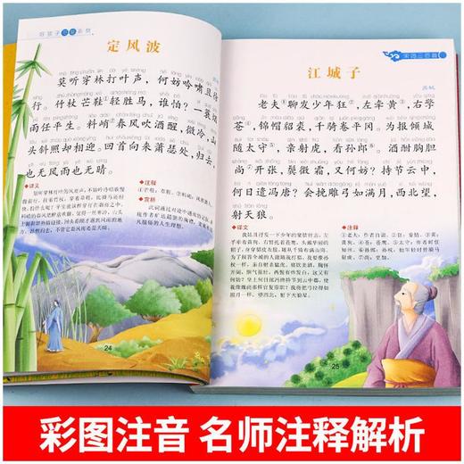 宋词三百首 彩图注音版 商品图3