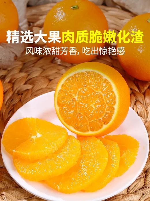 君橙故事70mm果 5斤 商品图3