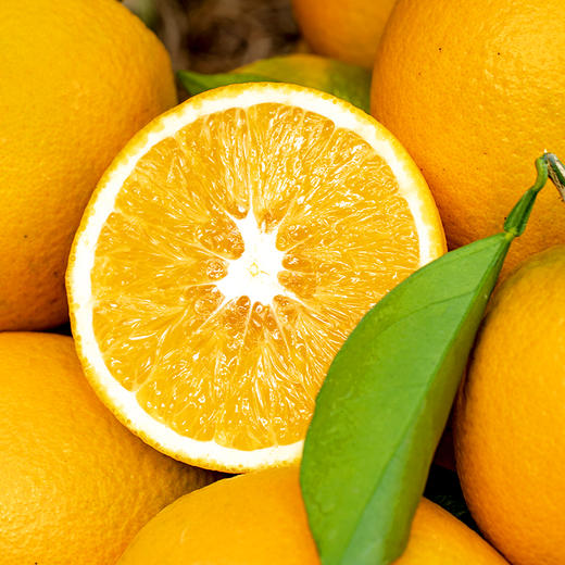 君橙故事85-90mm 12枚 商品图3