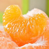 【四川·不知火丑橘】过年礼盒装  “好吃不上火”的丑橘🍊补充维生素C  酸甜爽口，果肉厚实，一口一瓣超过瘾！一口咬下去，软！甜！爽！地理标志产品  当季时令 产地直发 商品缩略图1