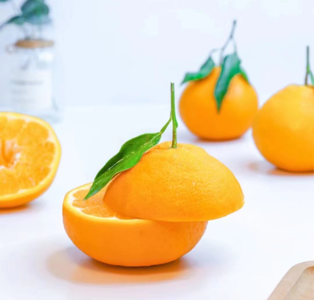 高山晚熟春见耙耙柑 （套袋果）| 山人优选，大果粒，无籽化渣，纯甜无酸，口感纯正，均匀饱满，高维C，不上火~