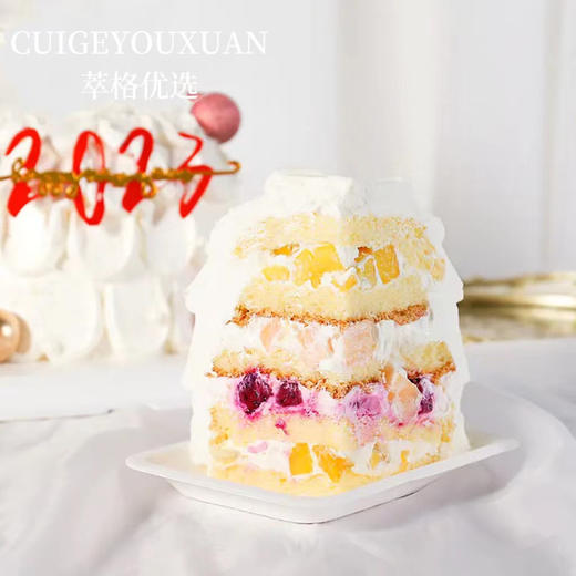 未来可期  2023新年生日蛋糕 商品图2