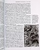 预售 【中商原版】牛津拜占庭史 英文原版 The Oxford History of Byzantium Cyril Mango 商品缩略图7
