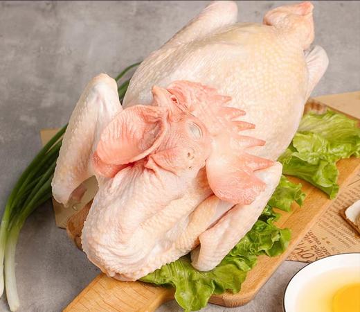 立华鲜 老母鸡鸡公煲 商品图1