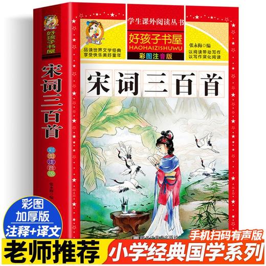 宋词三百首 彩图注音版 商品图0