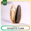 slm【优选】采实新疆原味葵花籽500g/袋 商品缩略图1