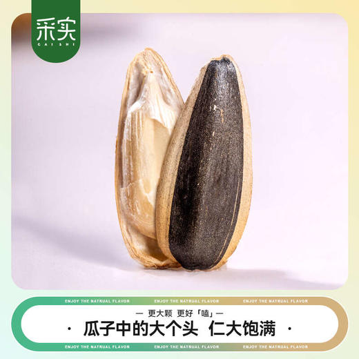 slm【优选】采实新疆原味葵花籽500g/袋 商品图1