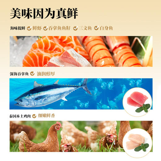 猫森林泰国丝绒猫条12g*5支 商品图2