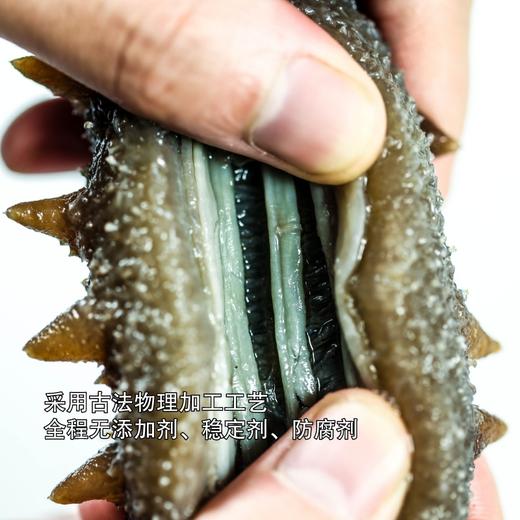 挑时有机即食海参 300g/400g | 鲜食高压海参 独立包装 商品图3