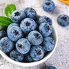 个大爆汁 颗颗精选！MAX版【蓝美莓粒装蓝莓】满满花青素 保护视力 坑格设计食用更快捷 一颗颗嘎嘣爆汁 72小时发货 商品缩略图0