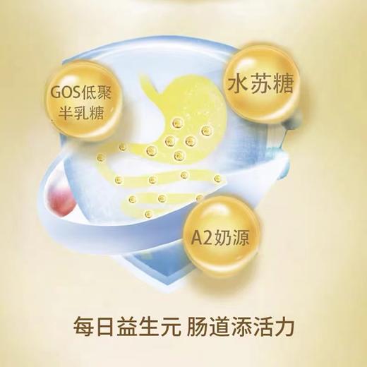 新西兰Tlamee 提拉米分离乳清蛋白调制乳粉1g*60袋 商品图5