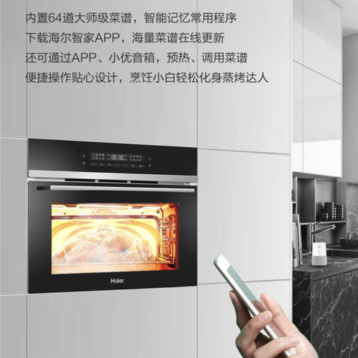 海尔（Haier）蒸烤一体机 H1SO46MGU1 商品图5