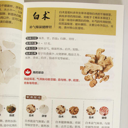 【9.9元包邮】正版包邮 中药方剂轻图典 有效验方中药方剂药膳食疗 中药功效 配伍及应用方剂的组成及主治 的中药方剂中药配对百病中医畅销书籍 商品图1
