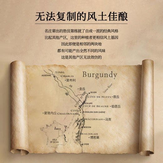 【勃艮第山丘AOC】 歌桐庄园干红葡萄酒 法国原装进口 13%vol 商品图9