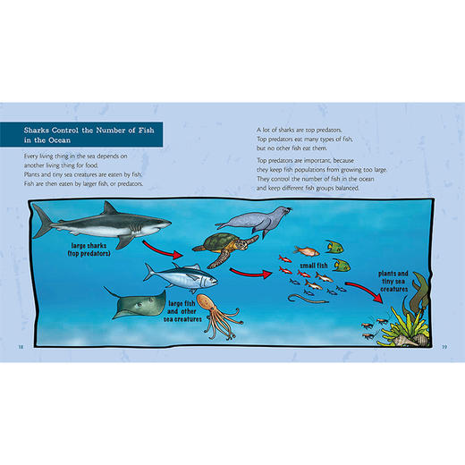 丽声三叶草分级读物第十二级 商品图3