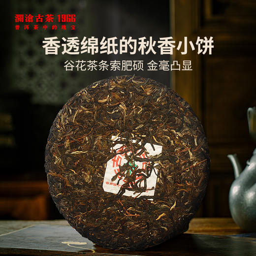 【积分兑换】澜沧古茶2008年古树秋香景迈古树普洱茶生茶秋茶小饼125g 商品图1