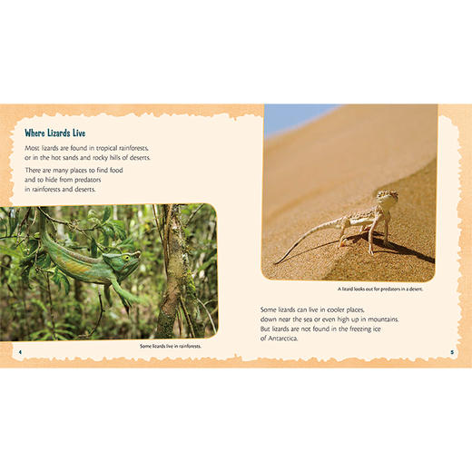 丽声三叶草分级读物第十级 商品图6