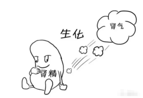 冬季补益有妙法，扶持肾阳是根本 