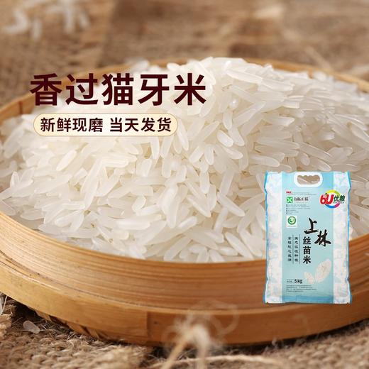力拓正稻  上林丝苗米5kg 商品图3