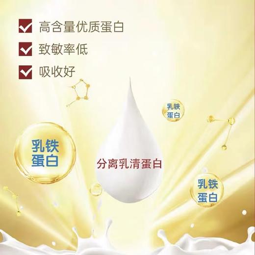新西兰Tlamee 提拉米分离乳清蛋白调制乳粉1g*60袋 商品图3