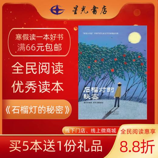 6年级寒假书目《 石榴灯的秘密》 商品图0