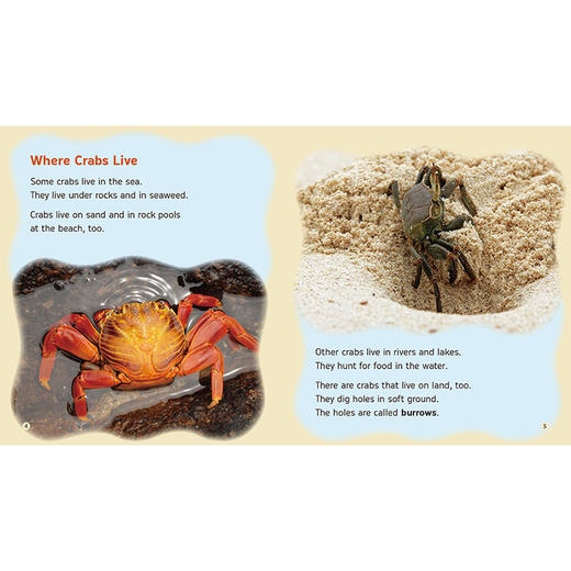 丽声三叶草分级读物第九级 商品图8