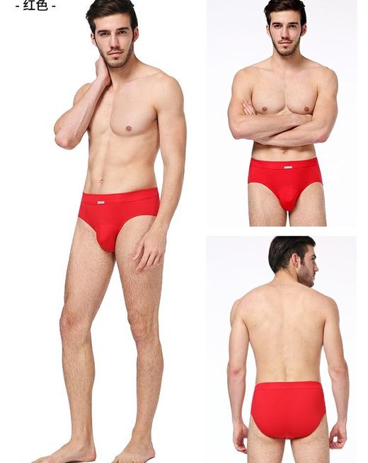 【舒美棉三角2条装】SCHIESSER  德国舒雅男士内裤舒美棉三角裤中腰舒适内裤 2条装35/2066S 商品图1