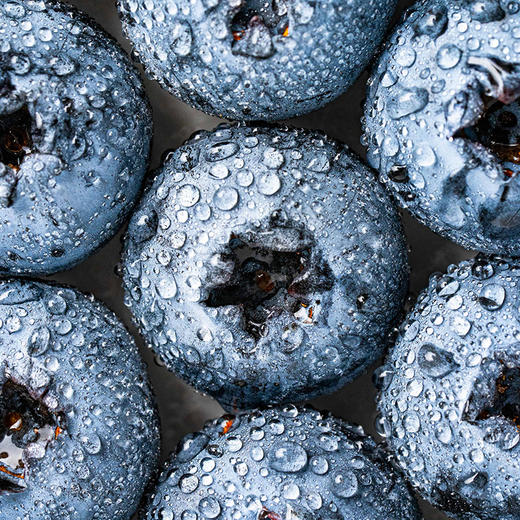 个大爆汁 颗颗精选！MAX版【蓝美莓粒装蓝莓】满满花青素 保护视力 坑格设计食用更快捷 一颗颗嘎嘣爆汁 72小时发货 商品图6