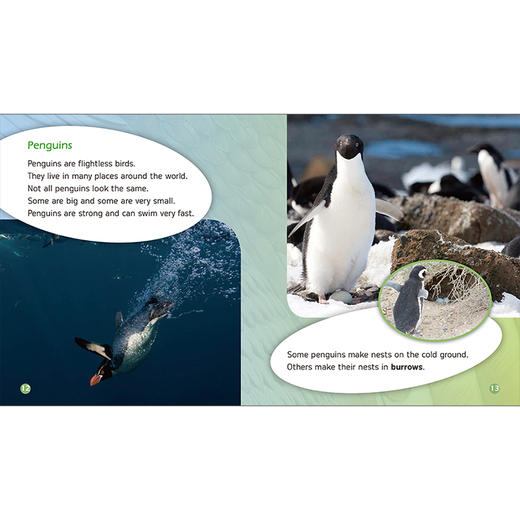 丽声三叶草分级读物第九级 商品图6