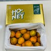脆蜜金柑（3斤装） 商品缩略图0