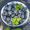 个大爆汁 颗颗精选！MAX版【蓝美莓粒装蓝莓】满满花青素 保护视力 坑格设计食用更快捷 一颗颗嘎嘣爆汁 72小时发货 商品缩略图9