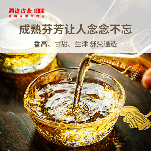 【积分兑换】澜沧古茶2008年古树秋香景迈古树普洱茶生茶秋茶小饼125g 商品图3