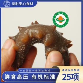 挑时有机即食海参 300g/400g | 鲜食高压海参 独立包装