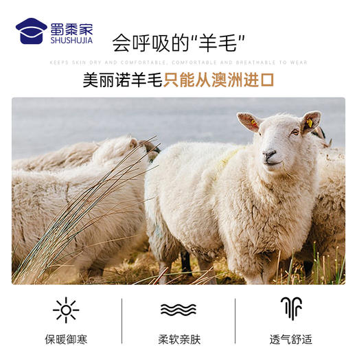 【可机洗纯羊毛开衫】通勤保暖马甲羊毛衫 透气针织毛衫 商品图7