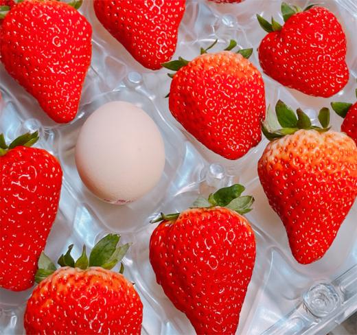 山姆 • 小岛春草莓 (1kg/24枚装) 商品图0